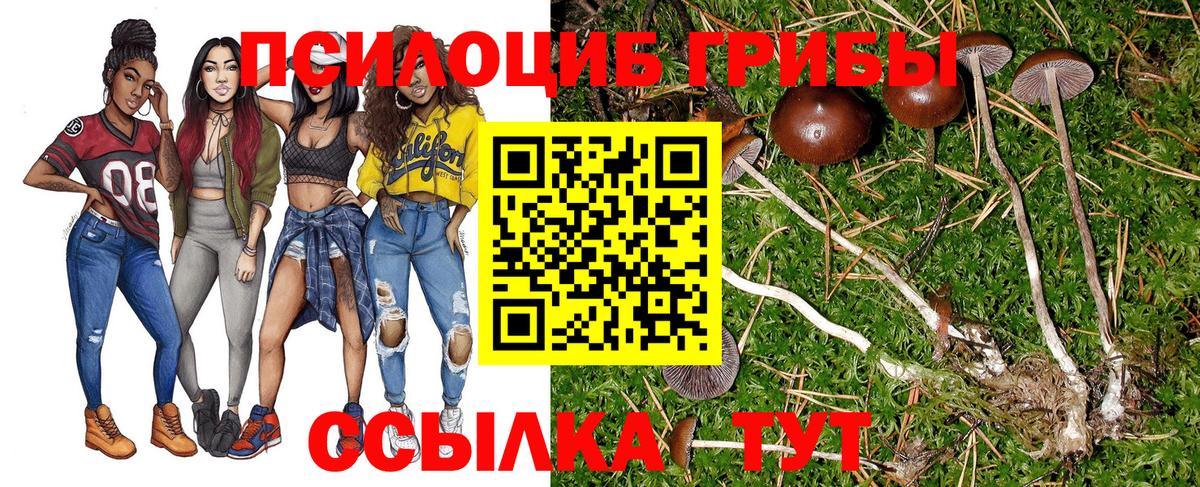 Псилоцибиновые грибы ЛСД  Вход с VPN  Галлюциногенные грибы MAGIC MUSHROOMS  Алексеевка 