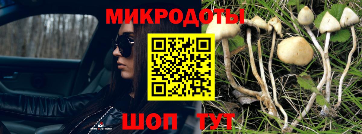 Галлюциногенные грибы прущие грибы Алексеевка